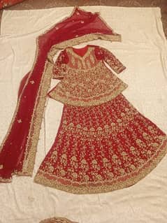 bridal lehenga red maroon clr