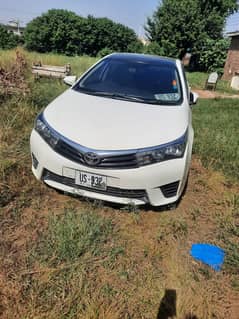 Toyota Corolla XLI 2015 /16