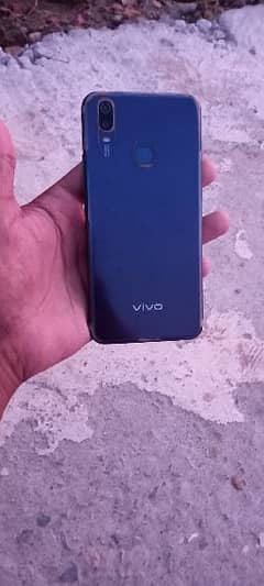 Vivo