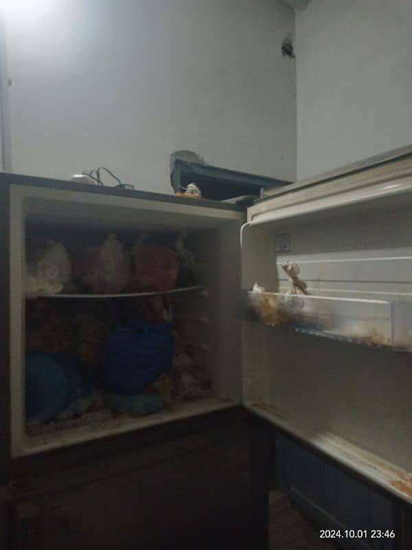 Orient Full size fridge for sell. 4