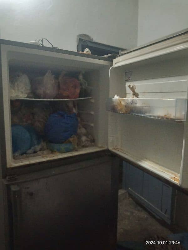 Orient Full size fridge for sell. 6