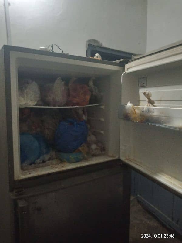 Orient Full size fridge for sell. 7