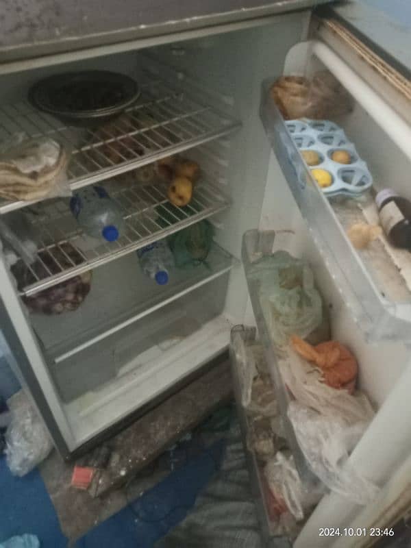 Orient Full size fridge for sell. 8