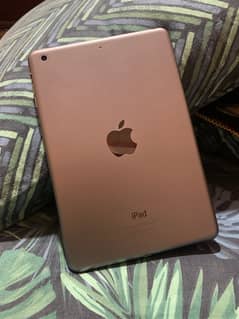 iPad mini 2