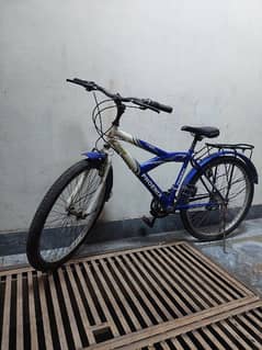 Phoenix Bicycle Working Condition For Sale