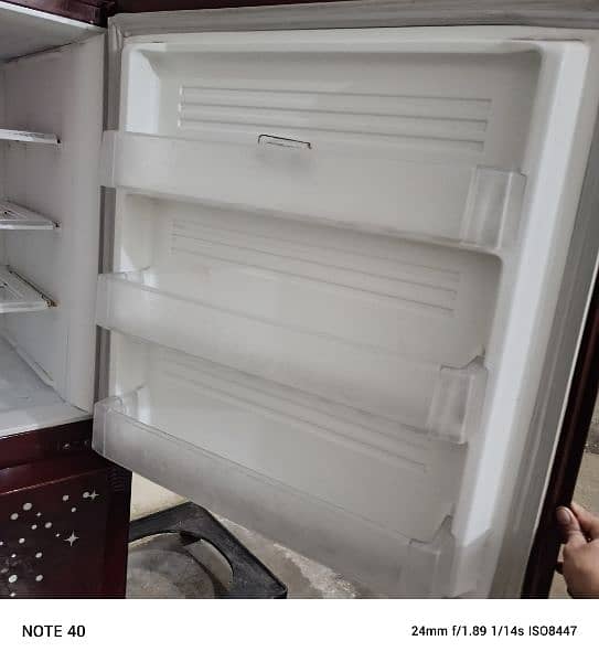 PEL Refrigerator Large Size Refrigerator 7