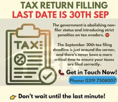 Expert Tax Filling Service