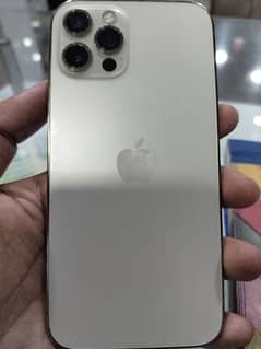 i phone 12 pro golden color