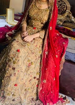 bridal lehnga all ok red skin