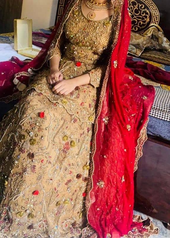 bridal lehnga all ok red skin 0