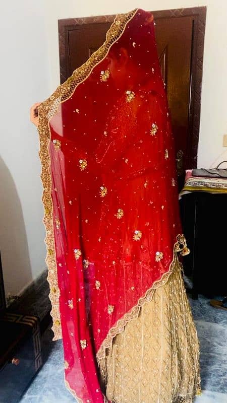 bridal lehnga all ok red skin 2