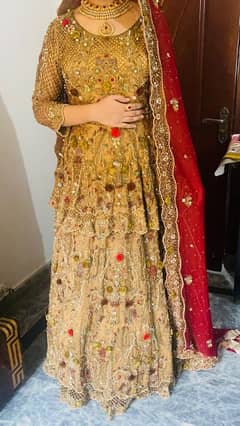 bridal lehnga all ok red skin