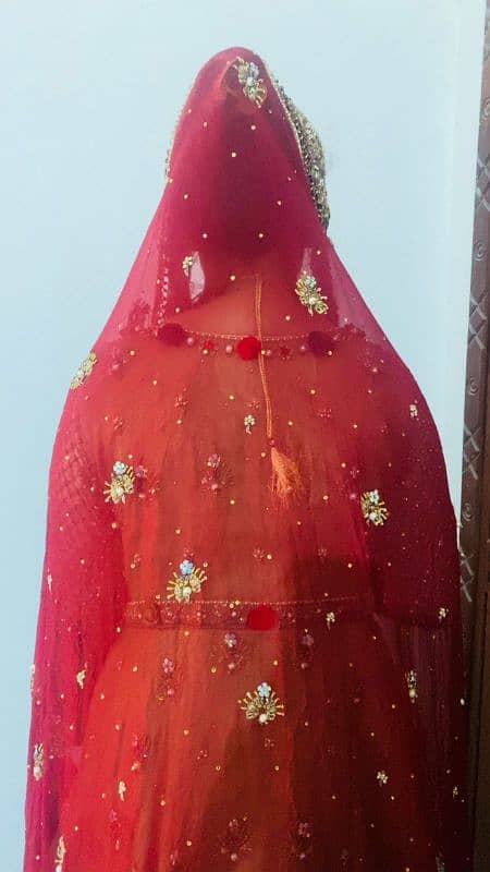 bridal lehnga all ok red skin 5