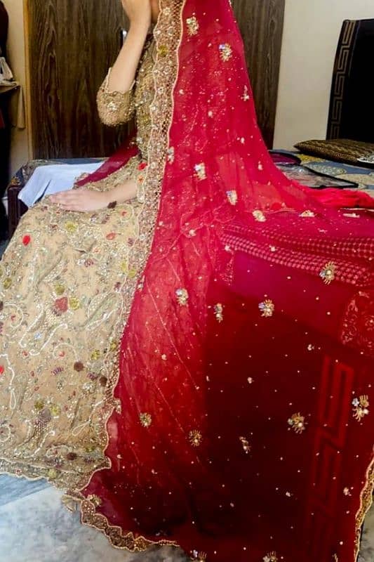 bridal lehnga all ok red skin 6