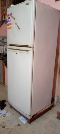 Orient brand jumbo size fridge