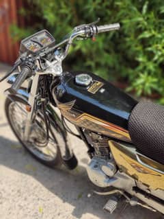 Honda CG 125 Gold Edition 2024