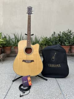 Tagima Kansas Semi Acoustic Guitar