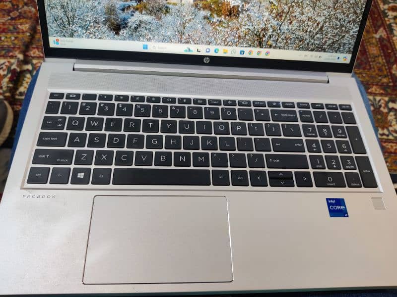 HP ProBook Core i7 11th generation All ok 1