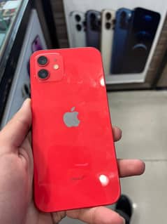 Iphone 12 red colour