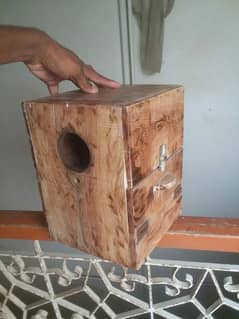 keekar Box For Cockateils