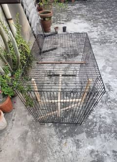 Cage for parrets 0