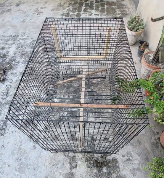 Cage for parrets 1