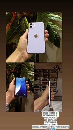 IPHONE 11 (64GB)