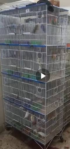 lovebird cages