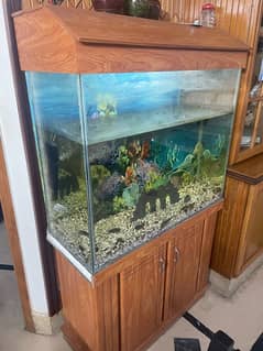 Aquarium Excellent Condition