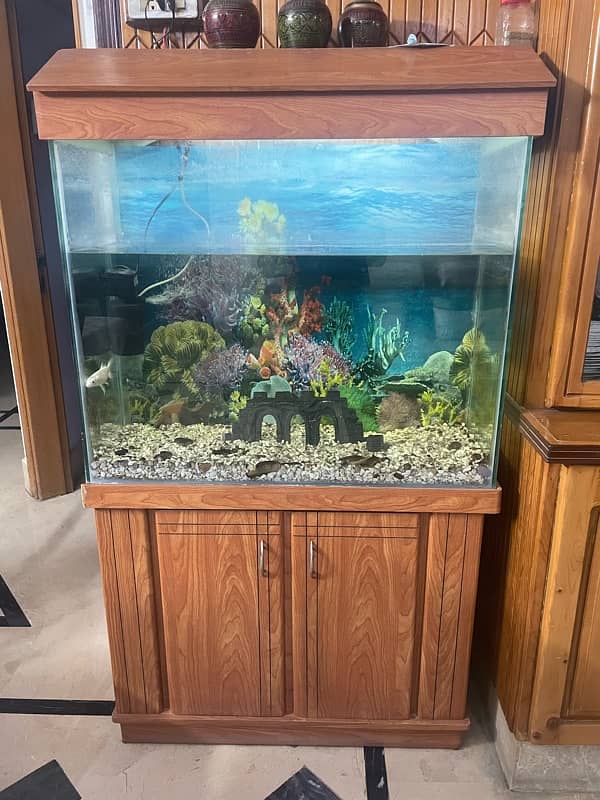 Aquarium Excellent Condition 1