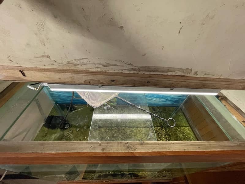 Aquarium Excellent Condition 3