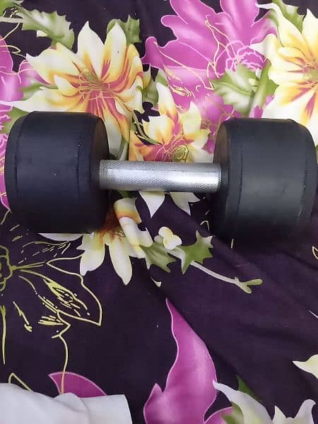 Dumbell 3