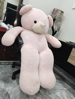 Teddy Bear Large size available for sale