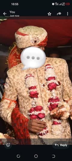 Sherwani (Branded)