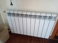 Central heating system