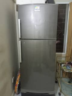 Electrolux fridge large size