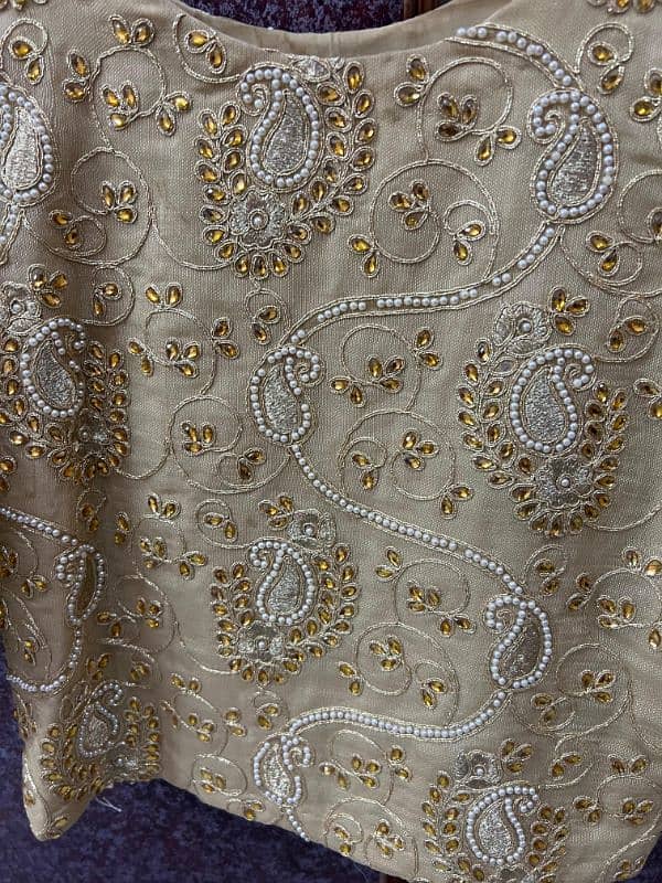 lengha choli 5