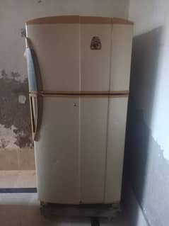 PEL Old Refrigerator – Normal Condition