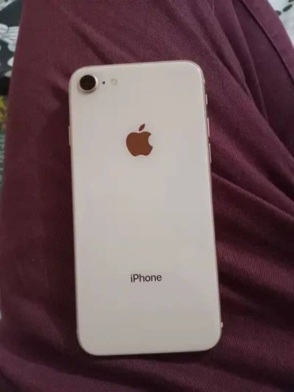 Apple Iphone 8 ( PTA Official Approved ) 1