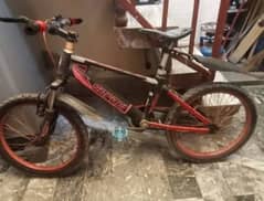 safari 24 inch cycle in best condition