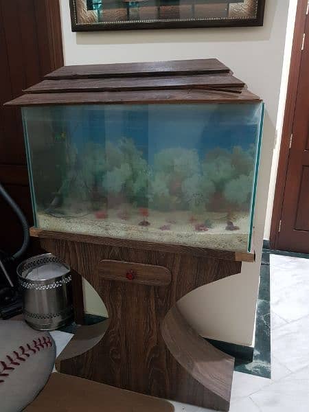 STYLISH FISH AQUARIUM 1