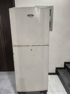 Haier Refrigerator