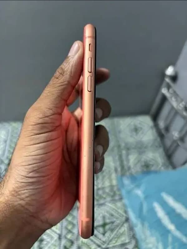 Iphone Xr (exhange with only iphones) 3