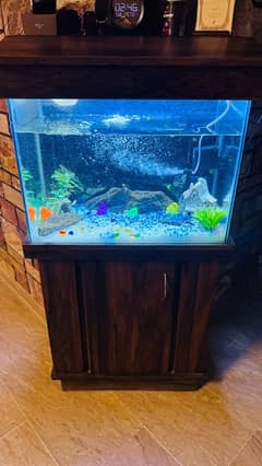 aquarium 2ft brand new with fish