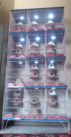 12 portions cage with lights rs. 15k only