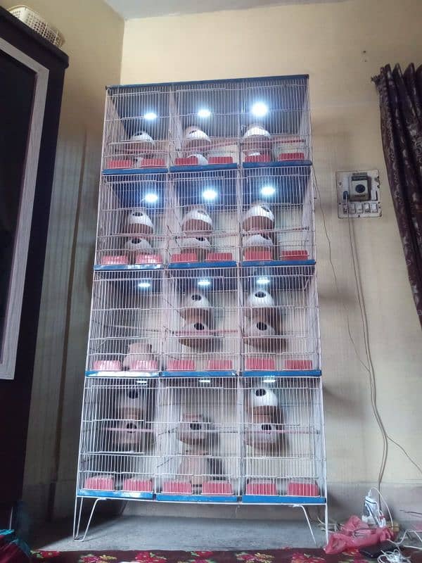 12 portions cage with lights rs. 15k only 1