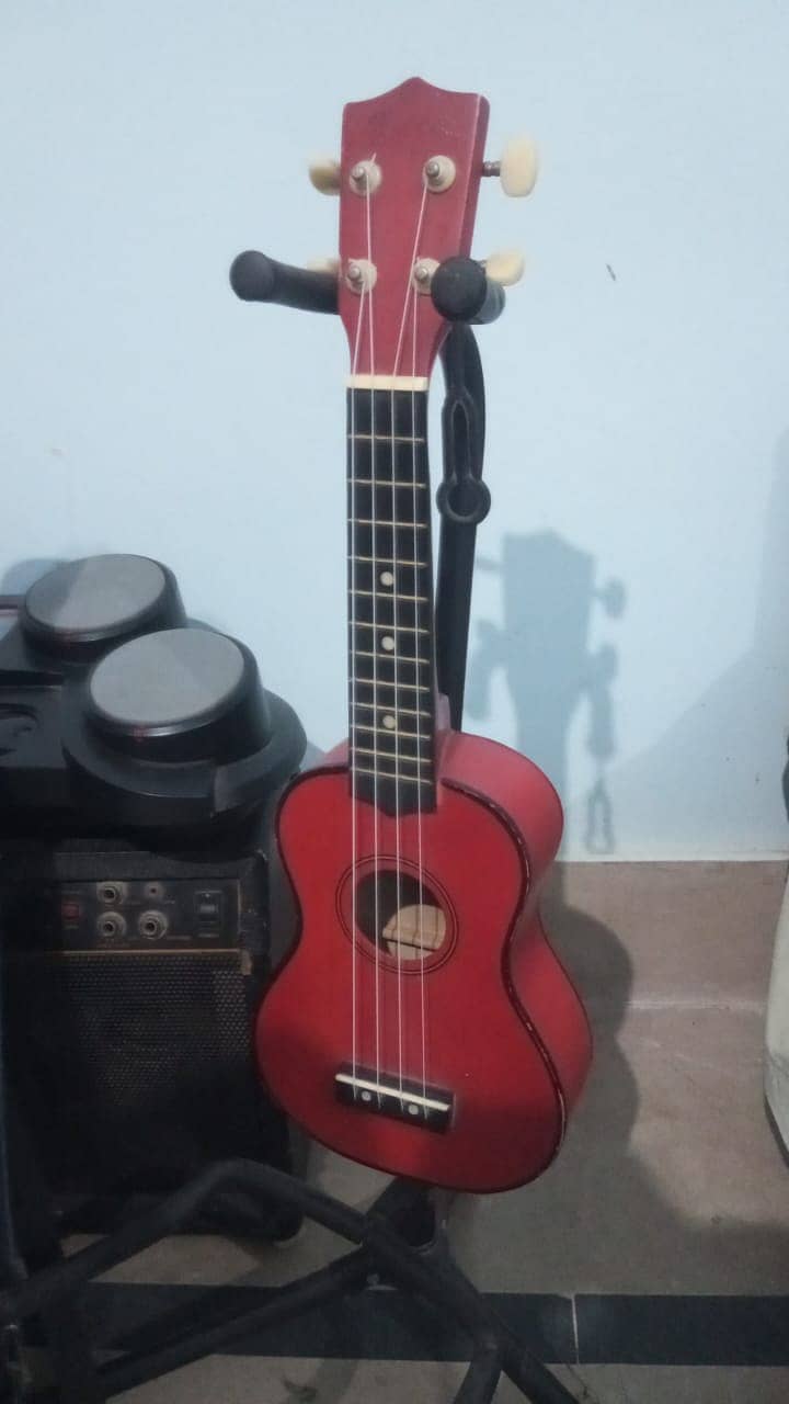 Ukuleles 1