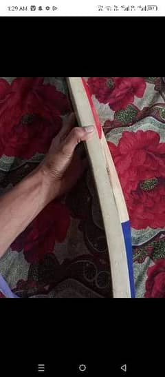 Cricket bat for sale 10