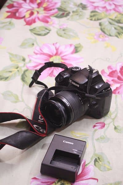 Canon 4000d with 18 55mm lens / WiFi model. 5