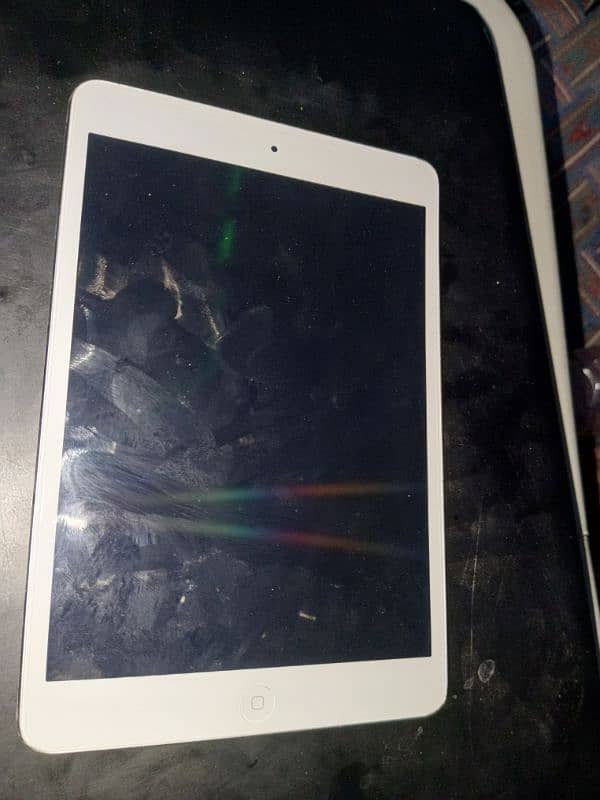 Ipad mini 2 1